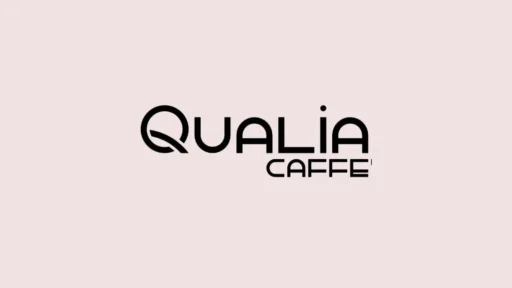 qualia 1